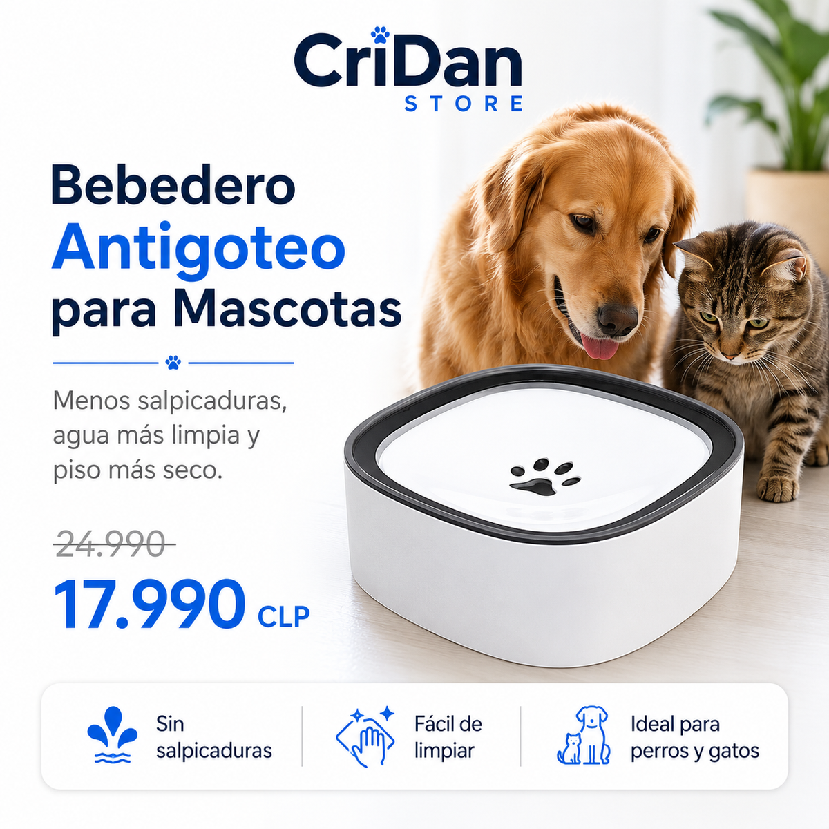 Bebedero Antigoteo para Mascotas